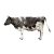 Full Cow (Small)