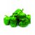 Green Bell Pepper (Tatase) 1.5kg