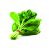 Spinach Leaf 0.5kg